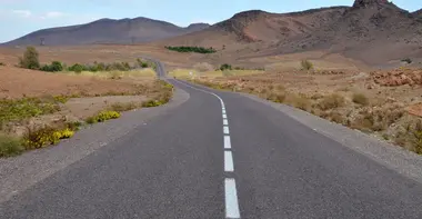 2-Day vs 3-Day vs 4-Day Desert Tour — Which to Choose?