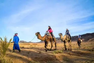 Private vs Shared Desert Tour Morocco — Which to Book?