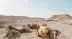 Agafay Desert & 3 Valleys