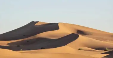 M'Hamid open desert track