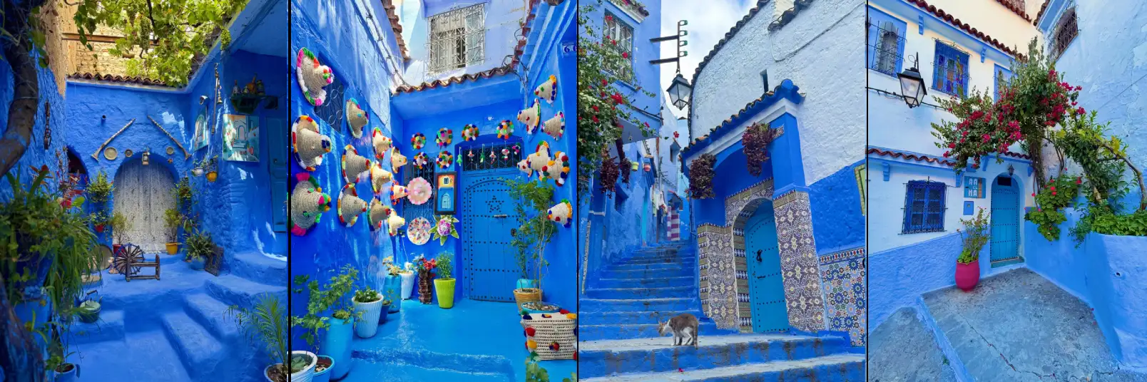 Morocco Tours from Marrakech