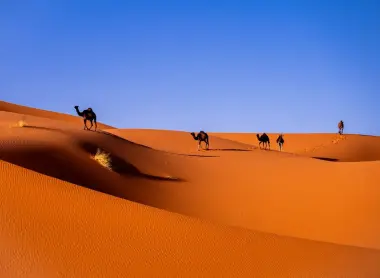 2-Day Desert Tour — Marrakech to Zagora